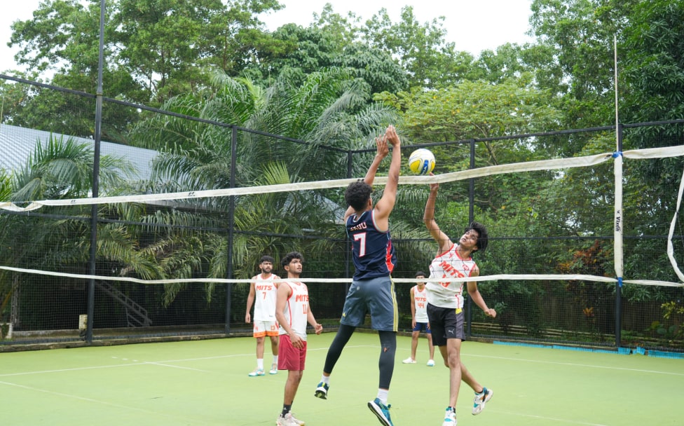 Volleyball Court